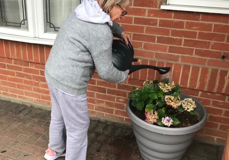 Watering flowers